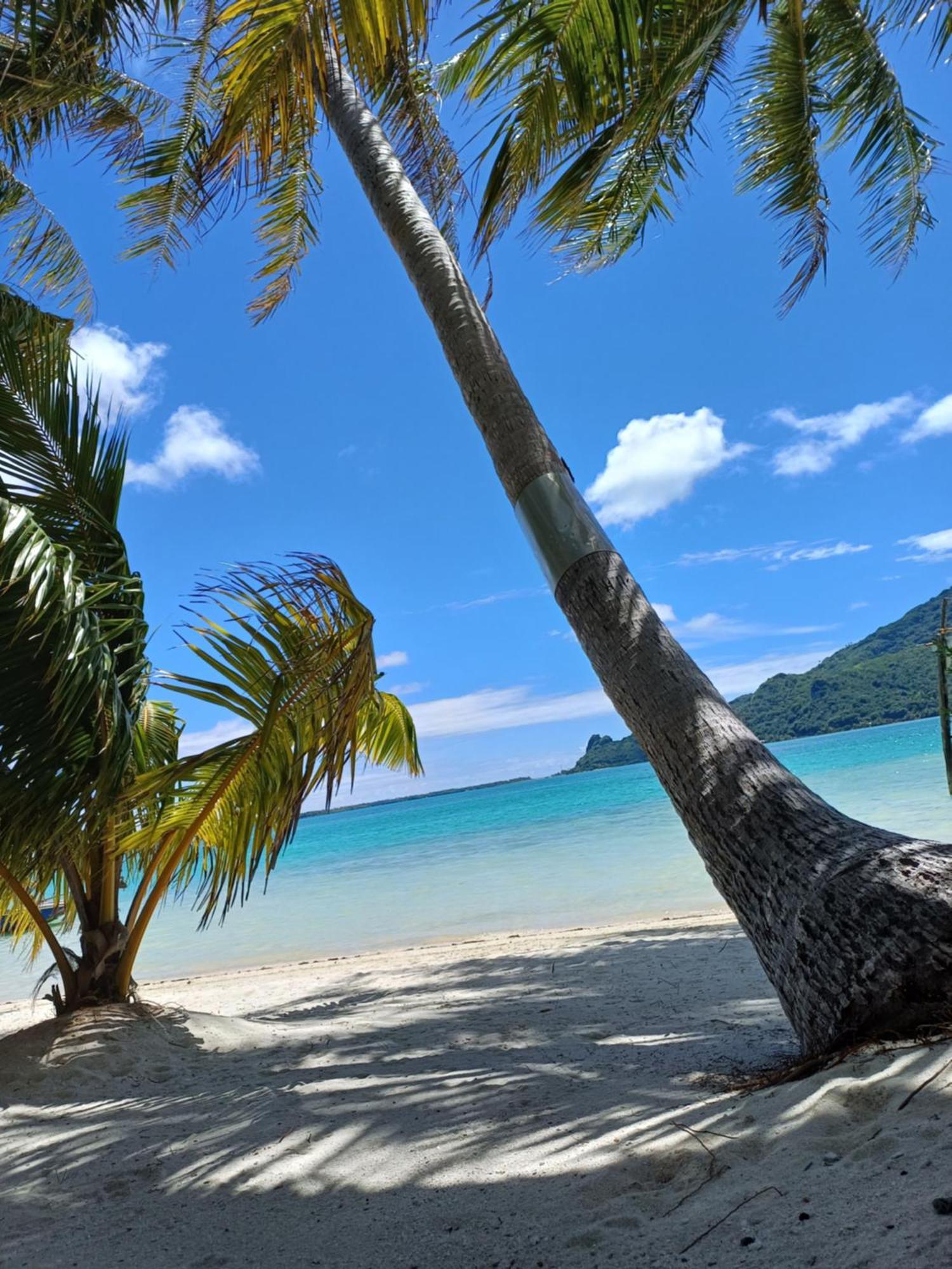 Poemanahere Island Camping A Maupiti Te-Fare-Arii Exteriör bild