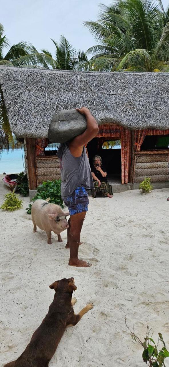 Poemanahere Island Camping A Maupiti Te-Fare-Arii Exteriör bild