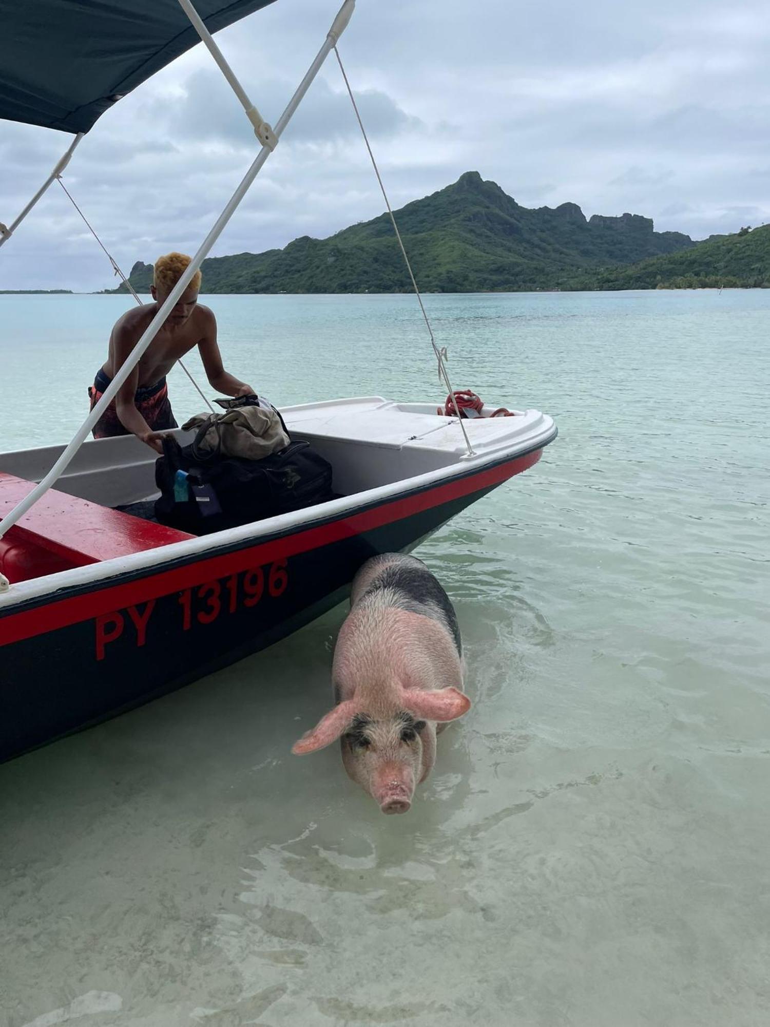 Poemanahere Island Camping A Maupiti Te-Fare-Arii Exteriör bild