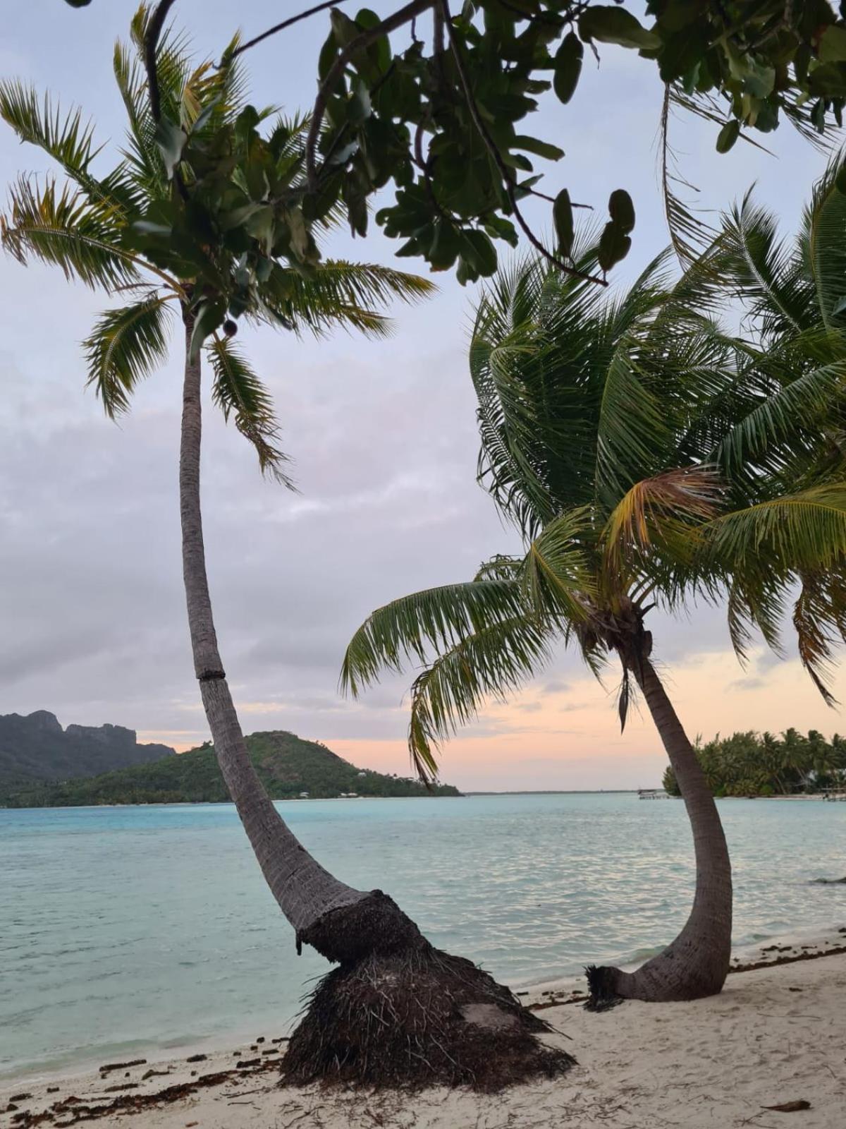 Poemanahere Island Camping A Maupiti Te-Fare-Arii Exteriör bild