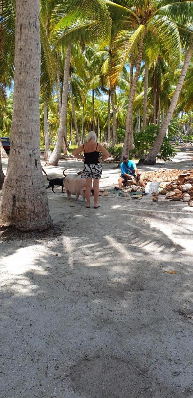 Poemanahere Island Camping A Maupiti Te-Fare-Arii Exteriör bild